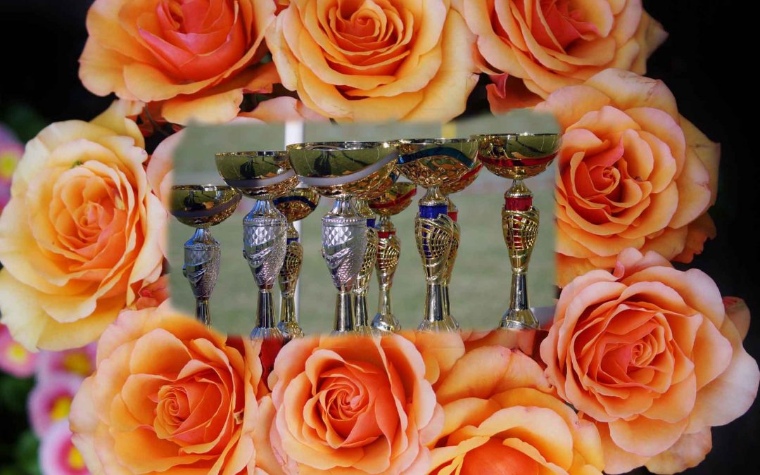 Coupes -Trophées – Fleuristes